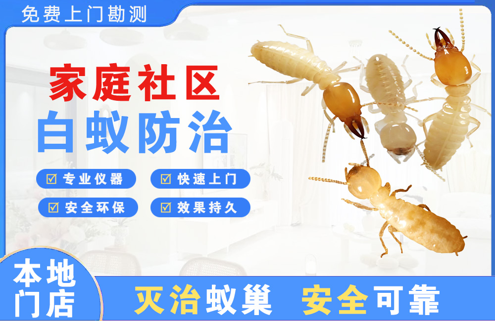 六安家庭社区白蚁防治