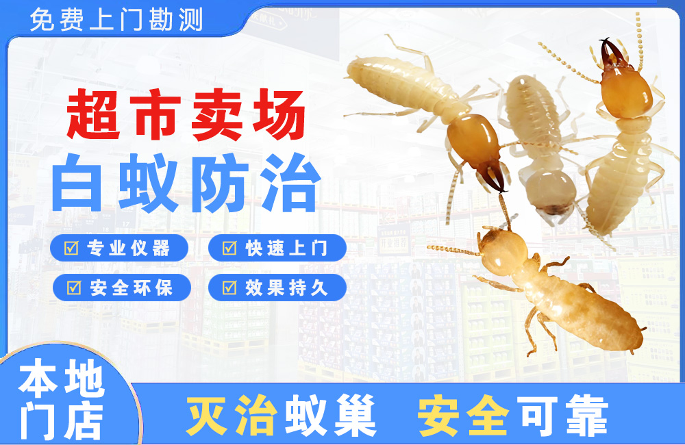 六安超市卖场白蚁防治