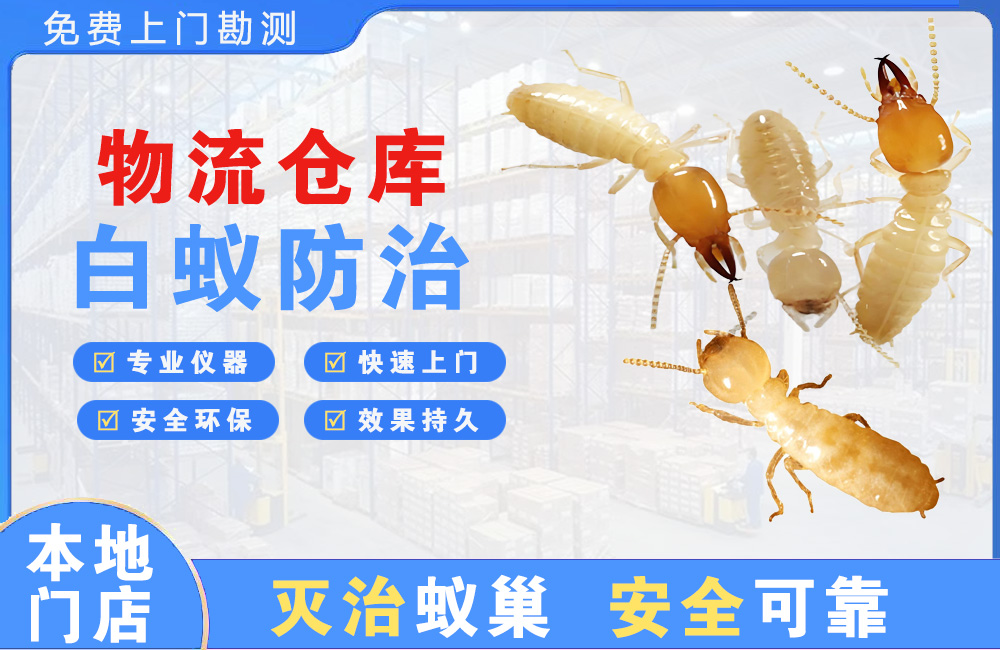 六安物流仓库白蚁防治