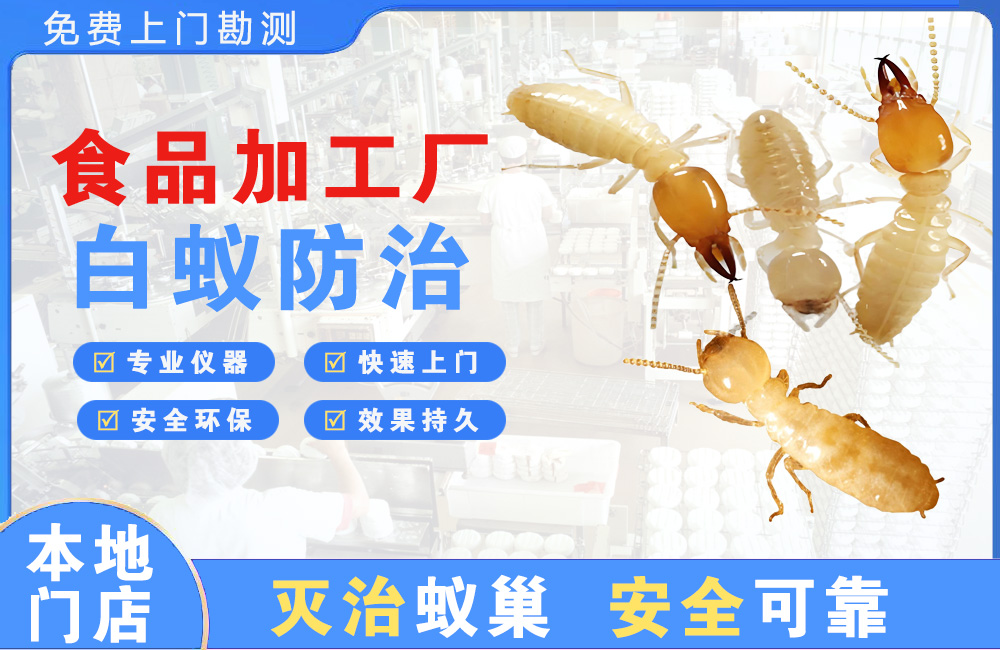 六安食品加工厂白蚁防治