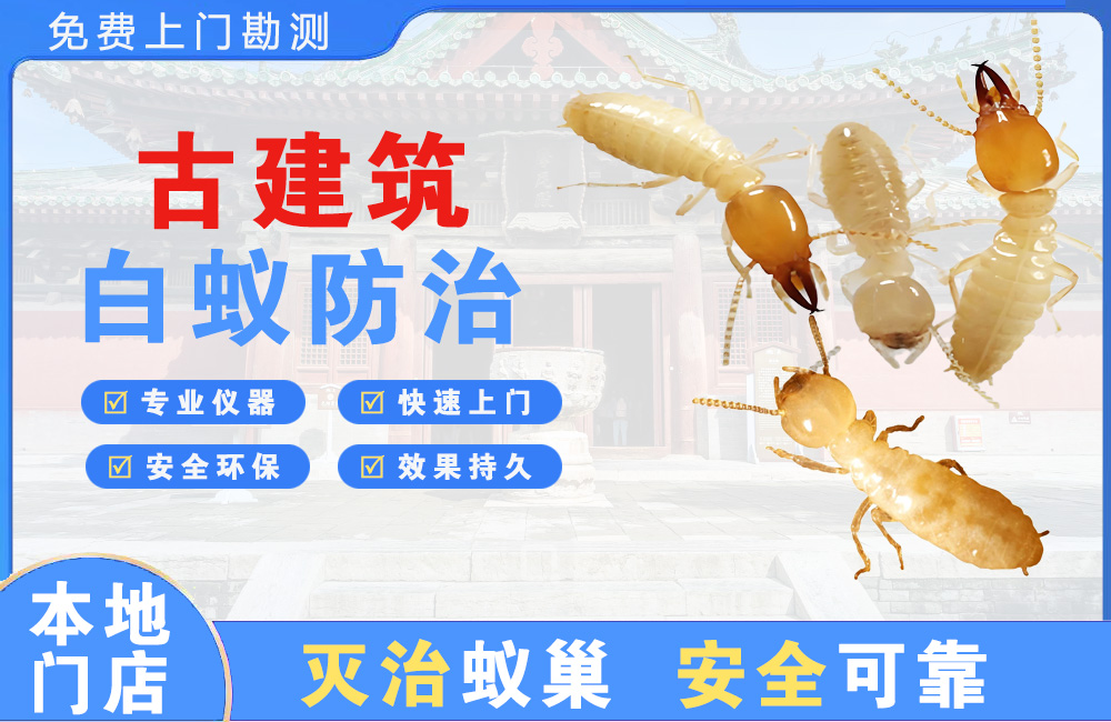 六安古建筑白蚁防治
