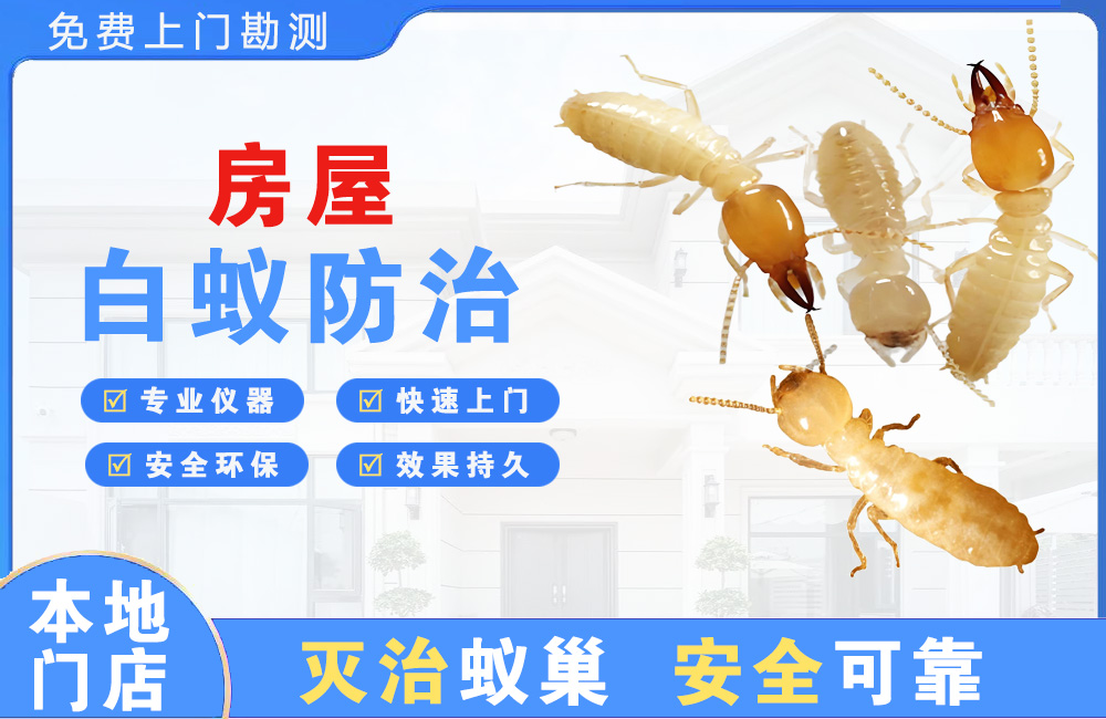 六安房屋白蚁防治