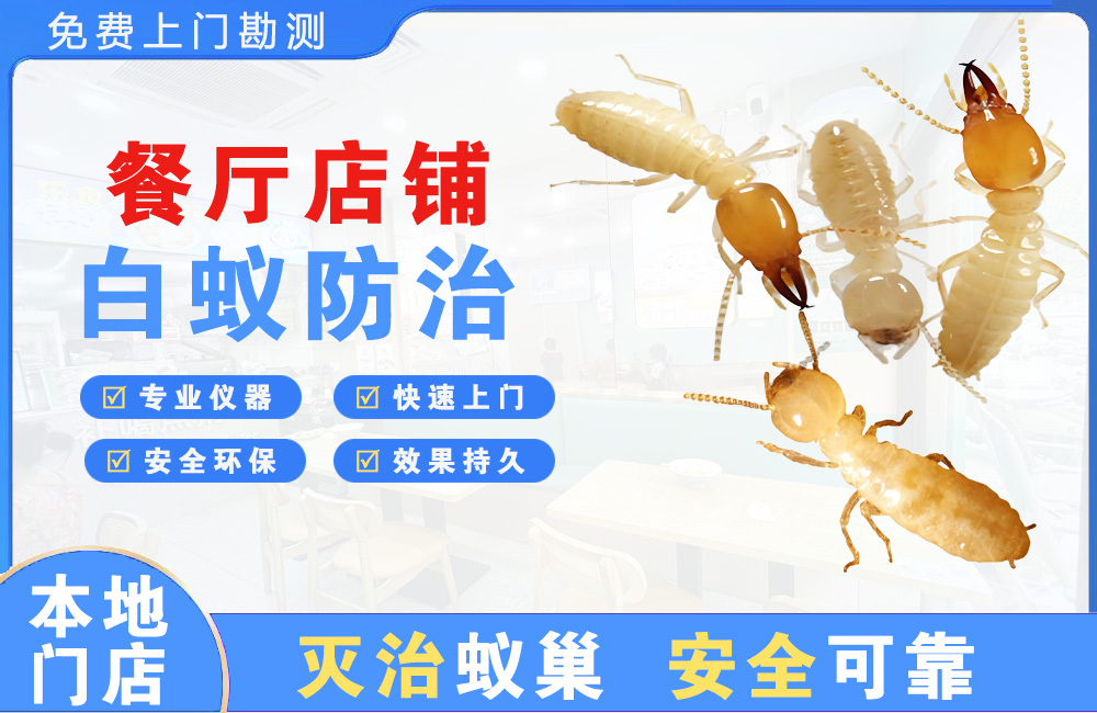 六安餐厅店铺白蚁防治